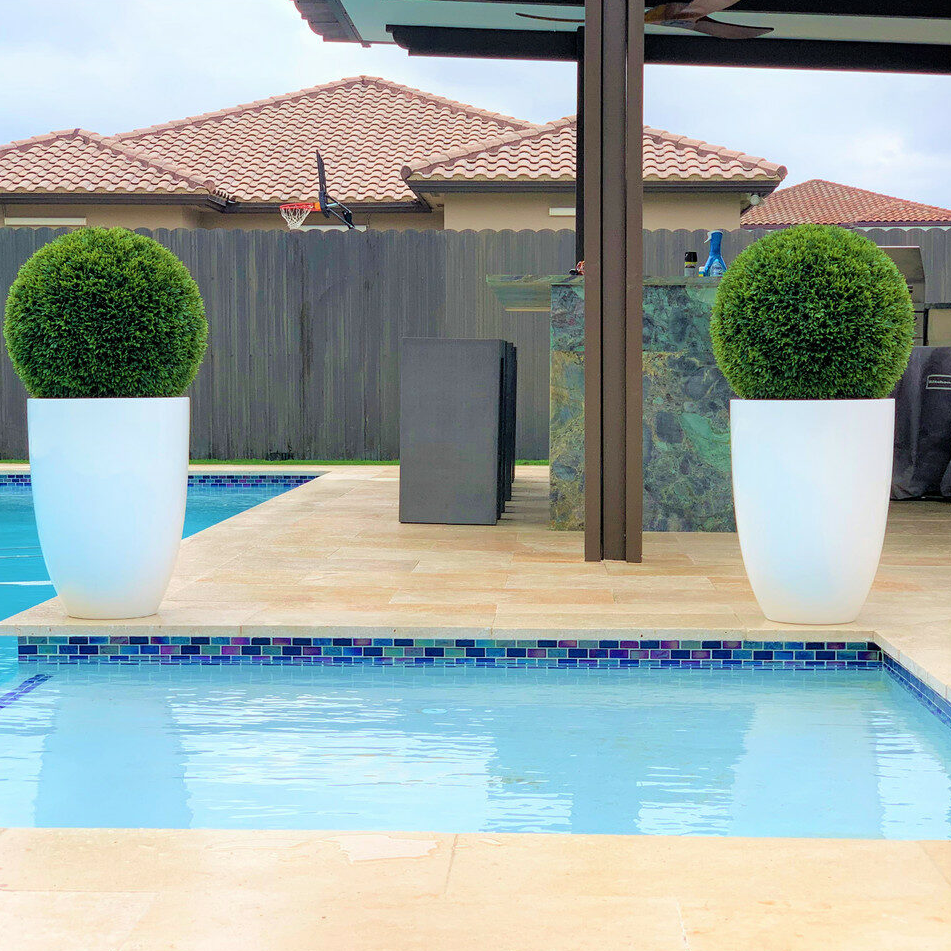 ben L fibra-de-vidrio maceta con 50 cm topiario.