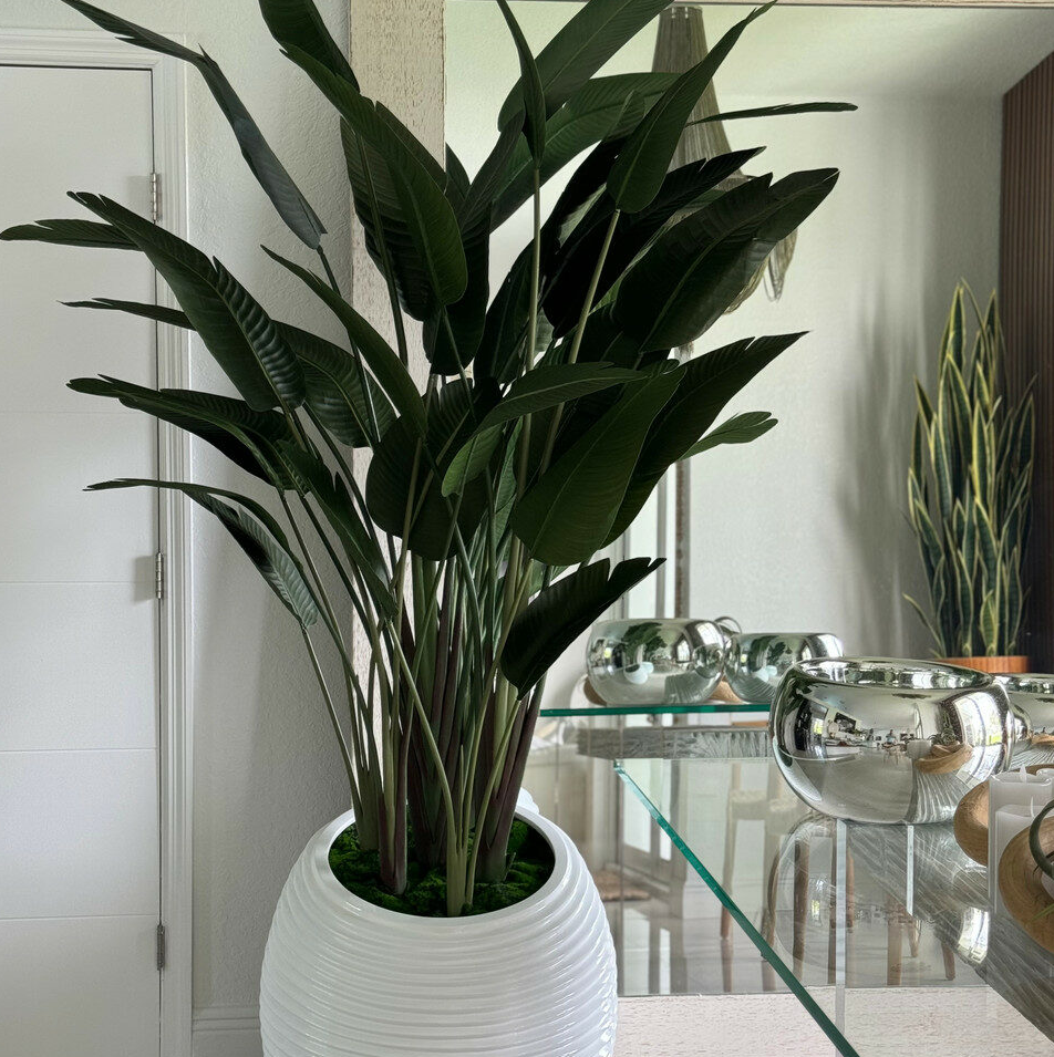 ave de paraíso en blanco espiral maceta