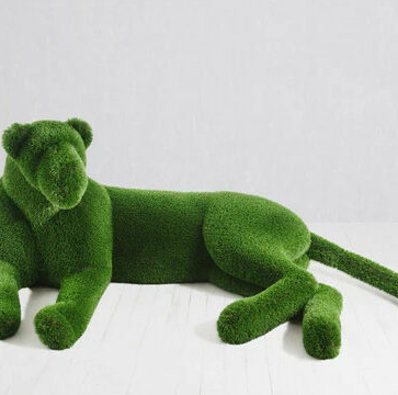 Elegant leona topiario