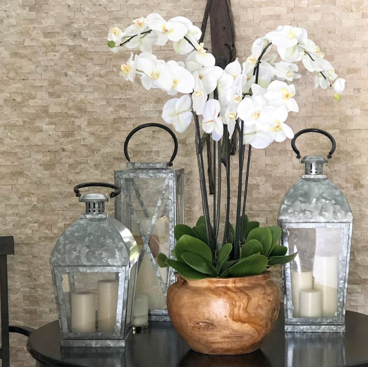 grande teca cuenco con blanco orquídeas