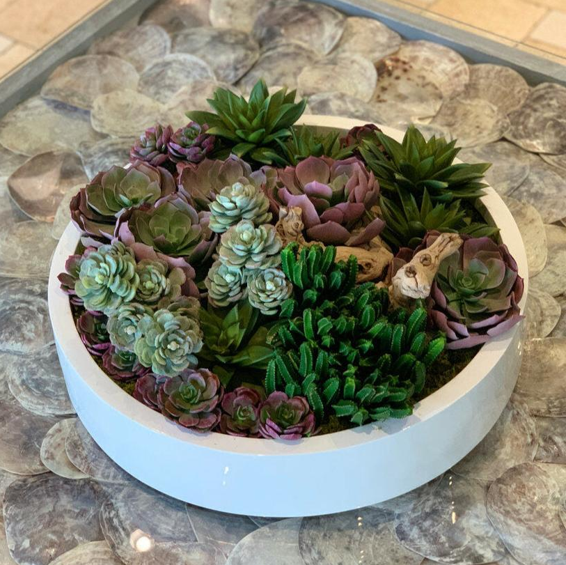 max cuenco con variado Artificial Succulents