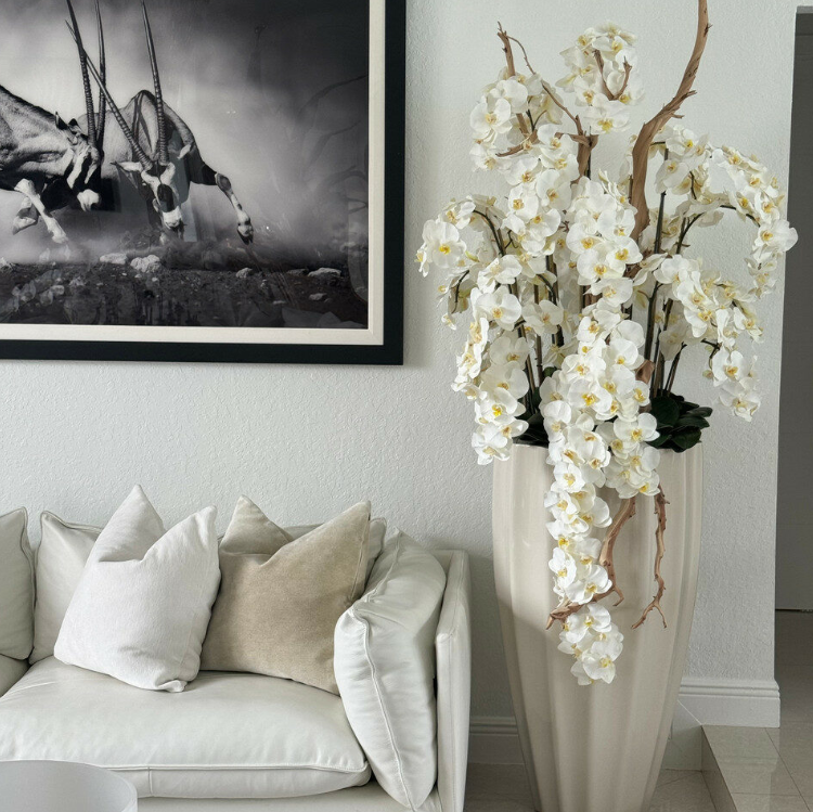 arena beige san josé jarrón con cascada blanco orquídeas