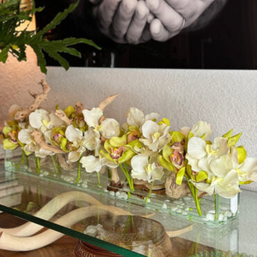 Casa Moderna con blanco vandas y verde cymbidiums