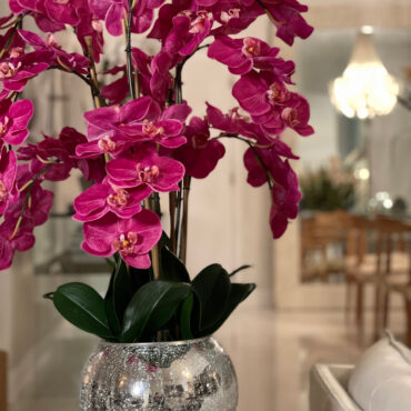 orquídeas en craquelado espejo jarrón