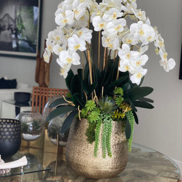 delaney dorado maceta con múltiples Stems de phalaenopsis orquídeas y Succulents