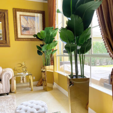 dorado cubo jardinera con ave de paraíso (7′)