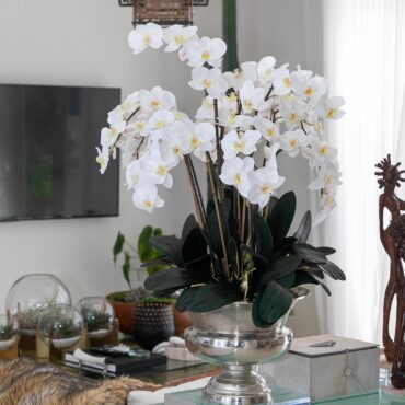 grande Titus urna con phalaenopsis orquídeas