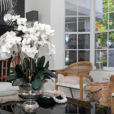 grande Titus urna con phalaenopsis orquídeas