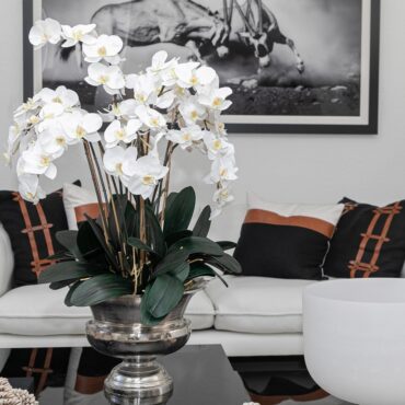 grande Titus urna con phalaenopsis orquídeas