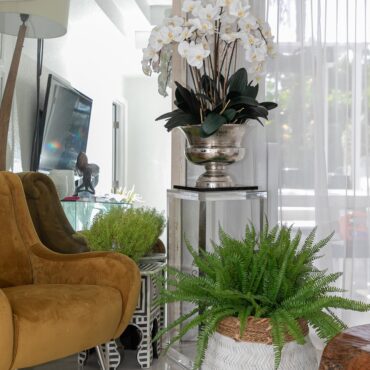 grande Titus urna con phalaenopsis orquídeas