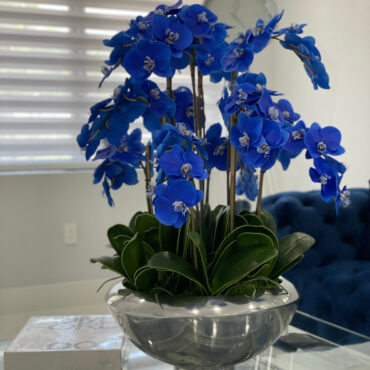 avenue cuenco con azul phalaenopsis orquídeas