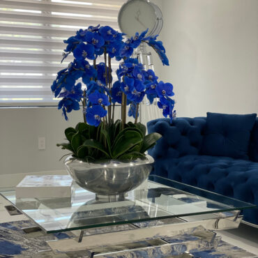 avenue cuenco con azul phalaenopsis orquídeas