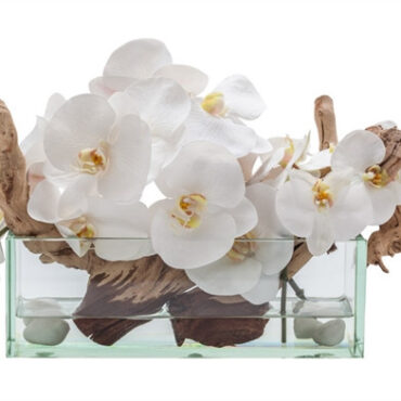 12″ Casa Moderna vidrio plato jardinera con blanco orquídeas