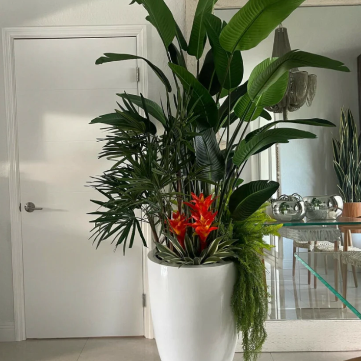 Tropical mezcla plantas en brillante blanco brannan jardinera