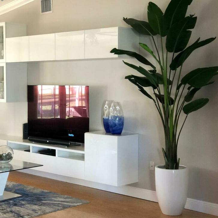 2.70 m ave de paraíso con ben jardinera en brillante blanco