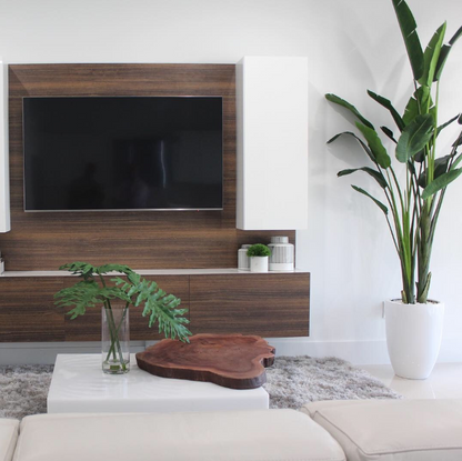 2.70 m ave de paraíso con ben jardinera en brillante blanco