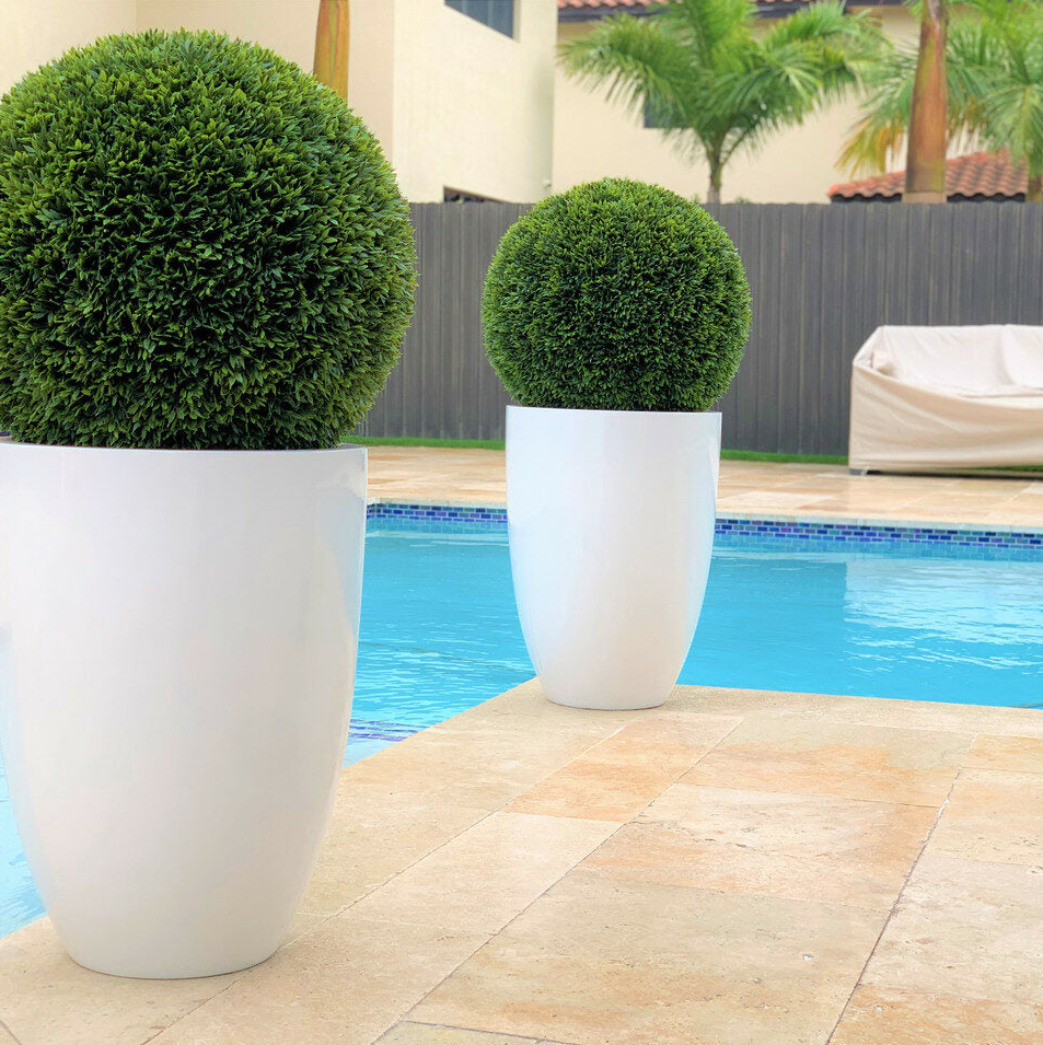 ben L fibra-de-vidrio maceta con 50 cm topiario.