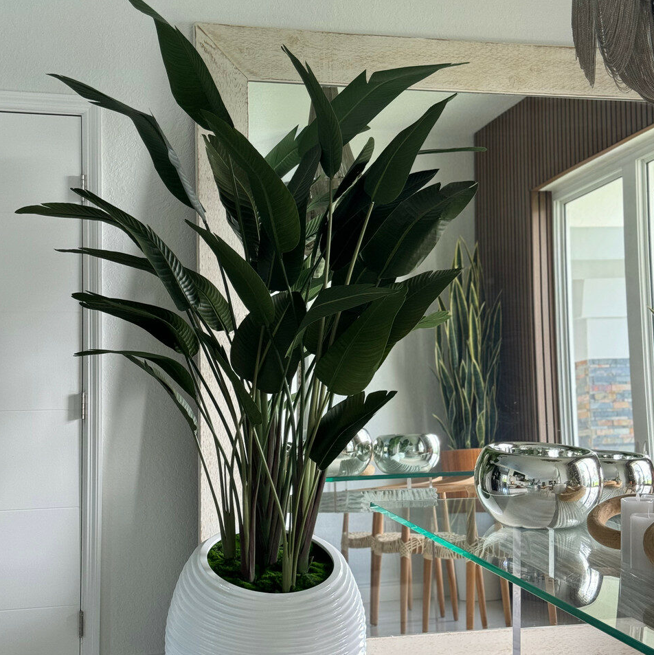 ave de paraíso en blanco espiral maceta