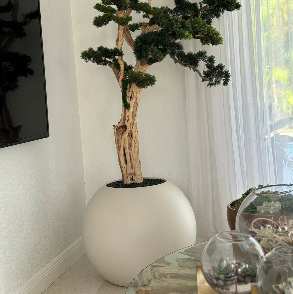 bonsái en un 75 cm satén beige esférico jardinera