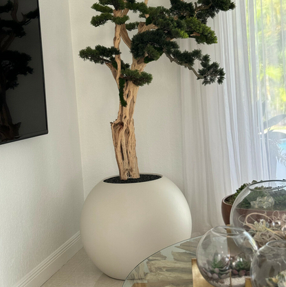 bonsái en un 75 cm satén beige esférico jardinera