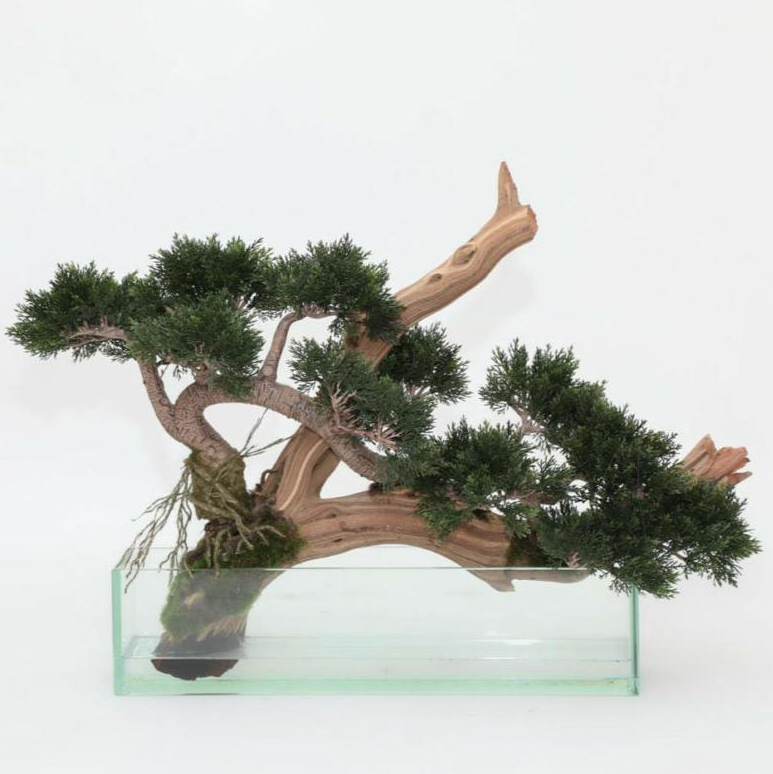 Creeping Artificial Cedar bonsái en vidrio jardinera