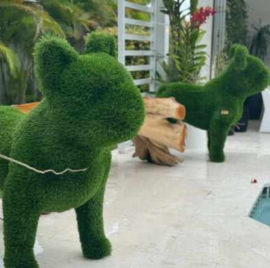 French Bulldog topiario