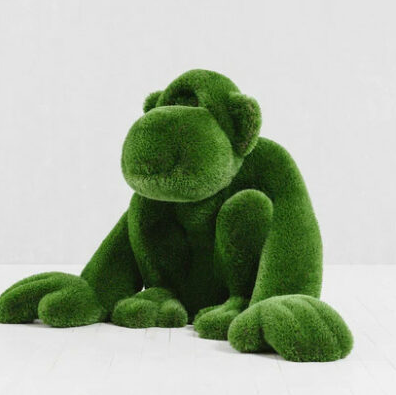 hierba mono topiario