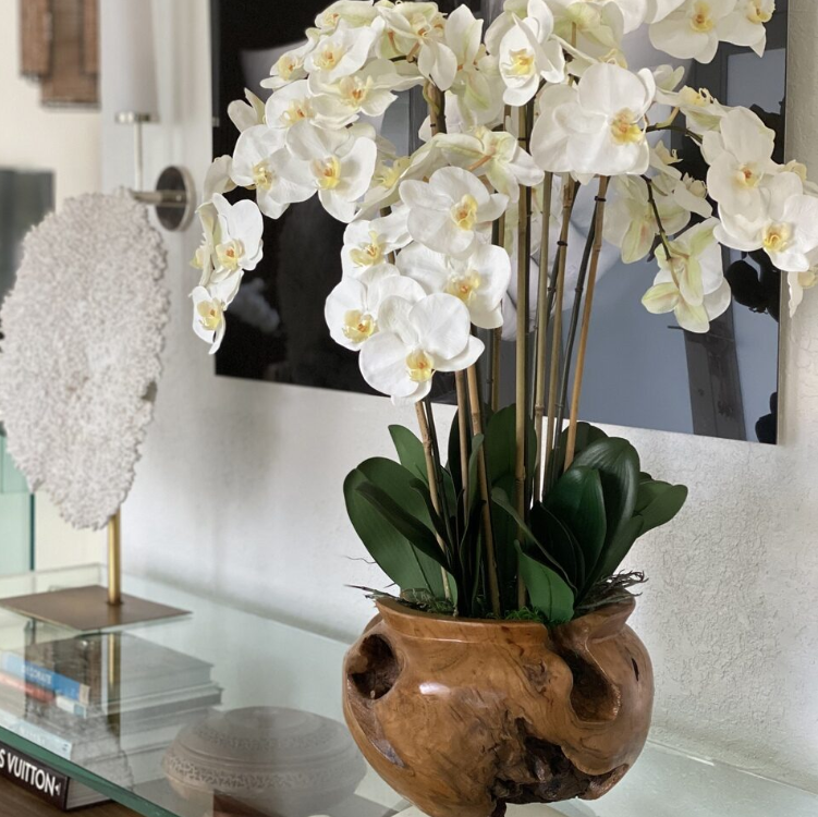 grande teca cuenco con blanco orquídeas