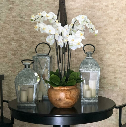 grande teca cuenco con blanco orquídeas