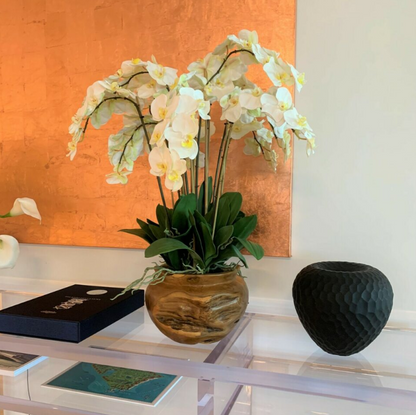 grande teca cuenco con blanco orquídeas