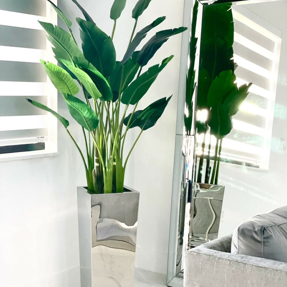 mediano cuadrado jarrón en inoxidable acero con ave de paraíso (2.13 m).