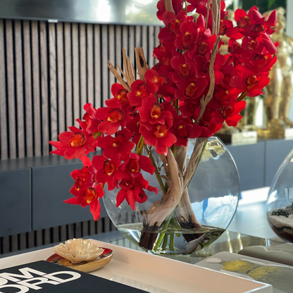 rojo cymbidium orquídeas en lunar jardinera.