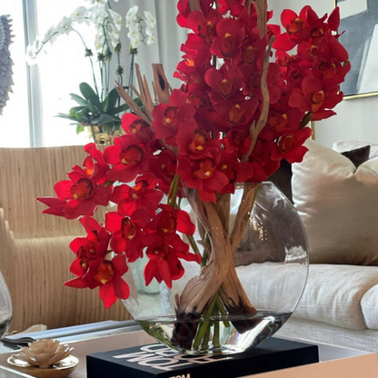 rojo cymbidium orquídeas en lunar jardinera.