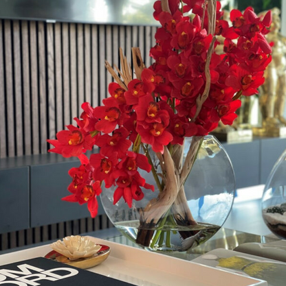 rojo cymbidium orquídeas en lunar jardinera.