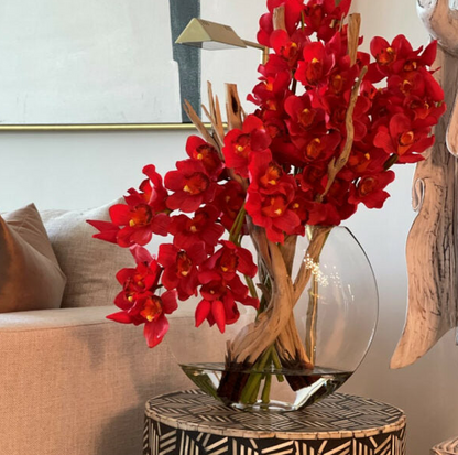 rojo cymbidium orquídeas en lunar jardinera.