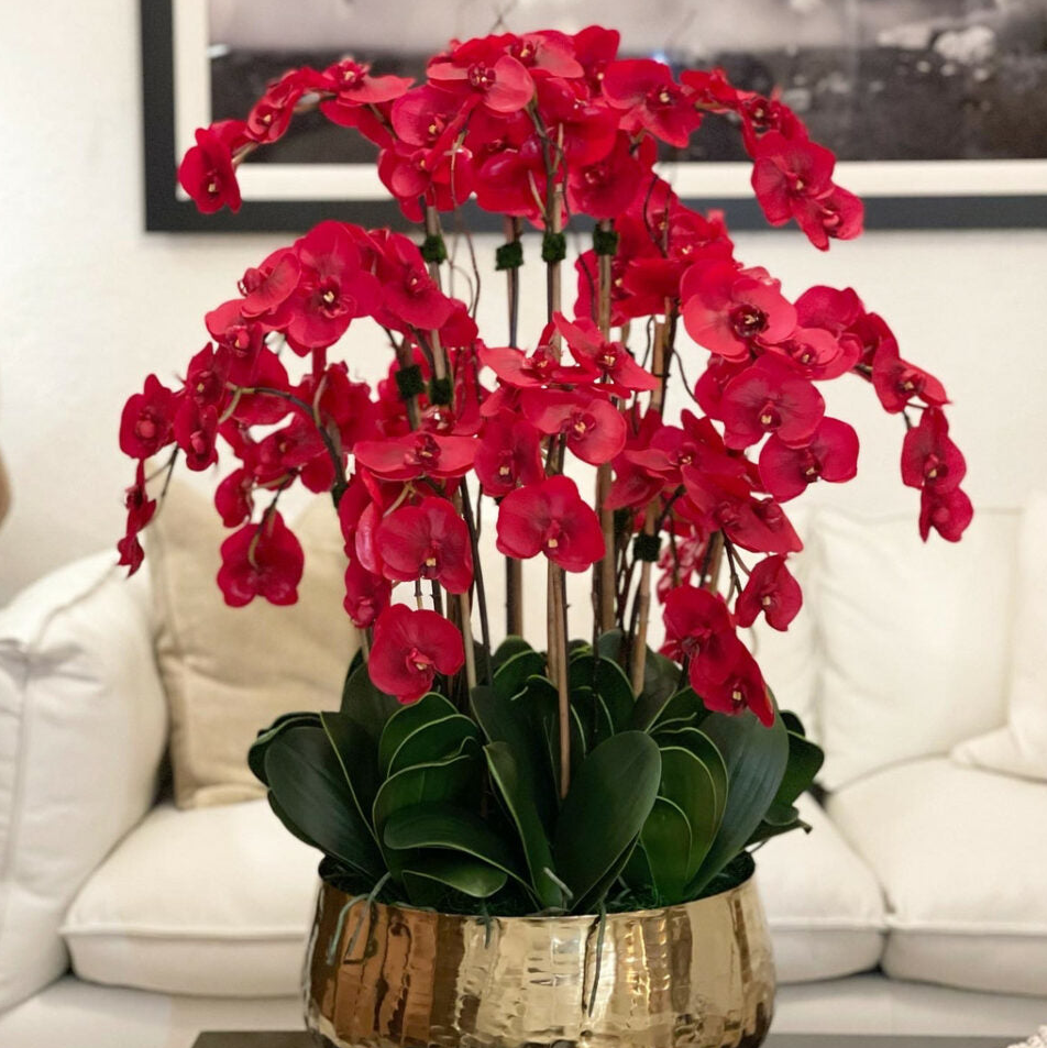 rojo phalaenopsis orquídeas en un mediano dorado jarrón
