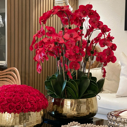 rojo phalaenopsis orquídeas en un mediano dorado jarrón