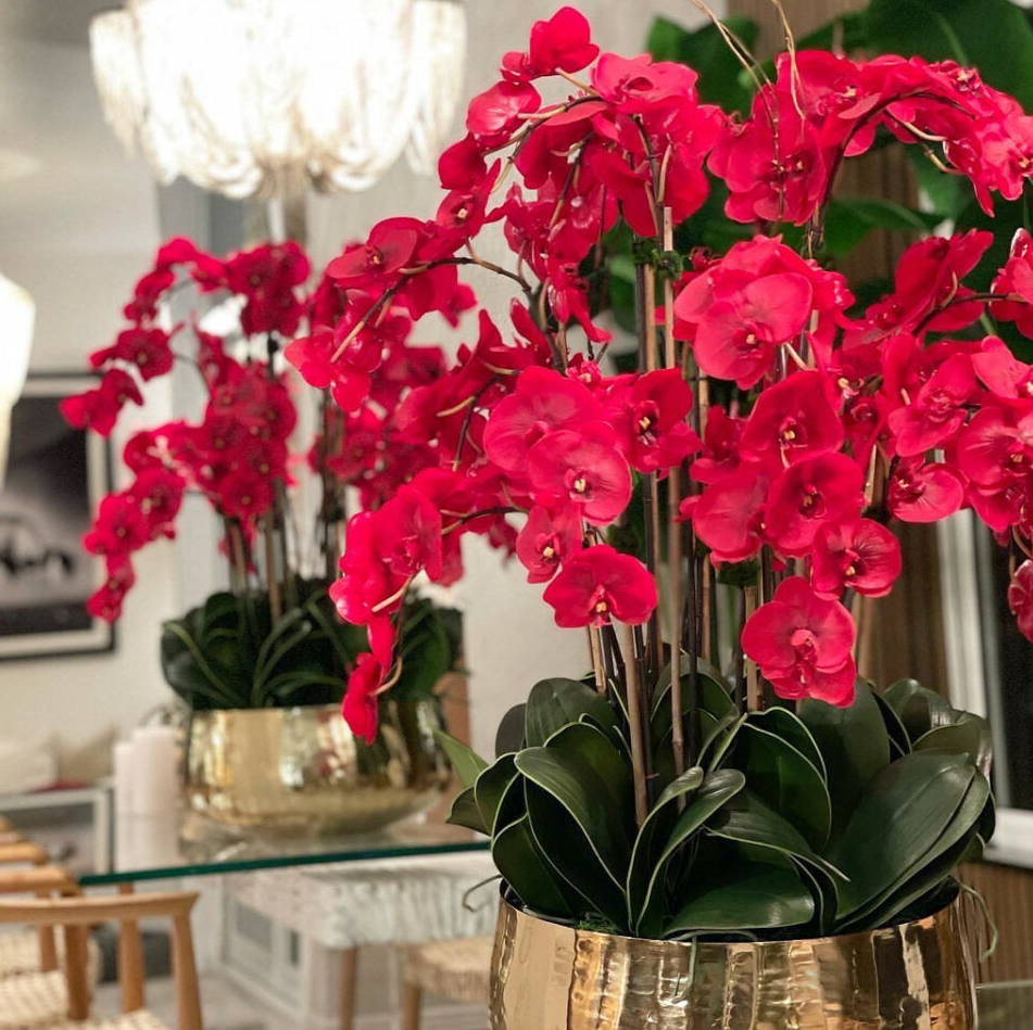 rojo phalaenopsis orquídeas en un mediano dorado jarrón