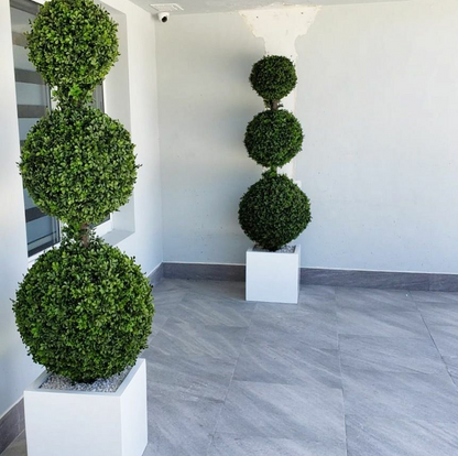 triple Ball topiario con mediano-Sized Fibreglass maceta