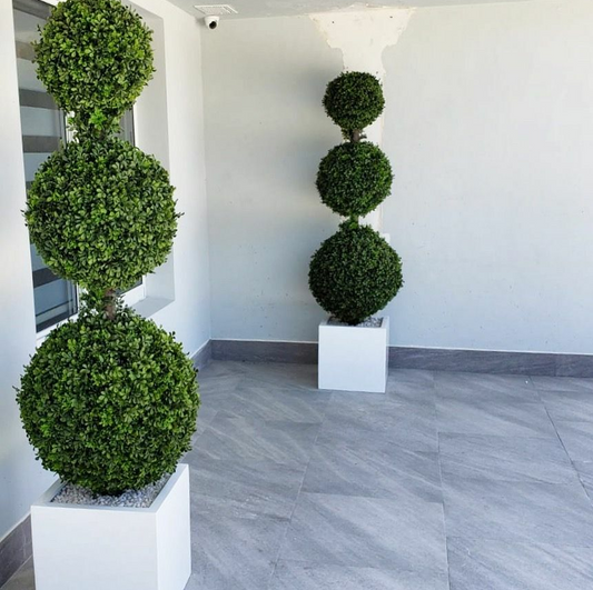 triple Ball topiario con mediano-Sized Fibreglass maceta