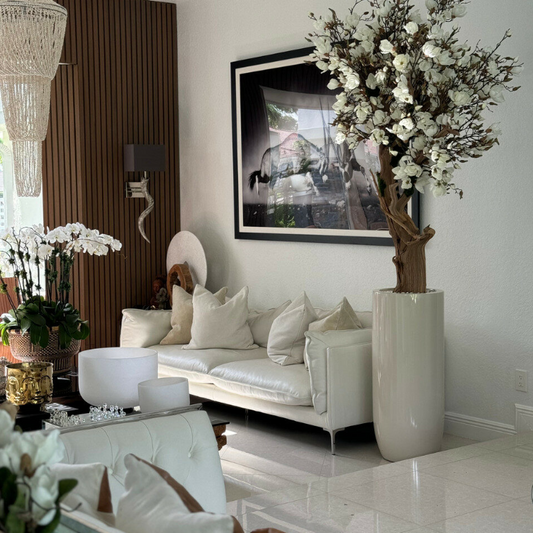 blanco magnolia árbol en brillante beige st. tropez maceta