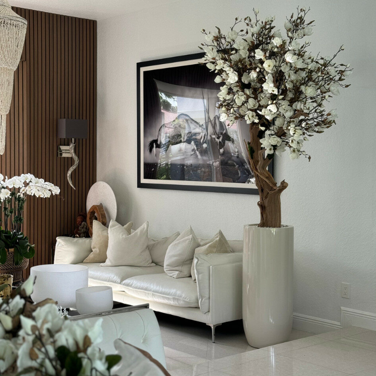 blanco magnolia árbol en brillante beige st. tropez maceta