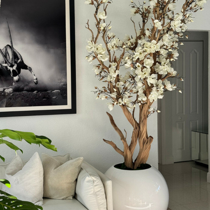 blanco magnolia árbol en brillante blanco esfera maceta, 76 cm