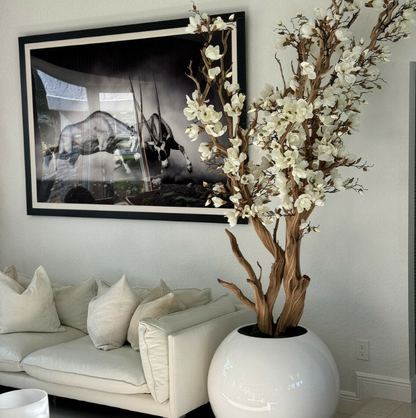 blanco magnolia árbol en brillante blanco esfera maceta, 76 cm