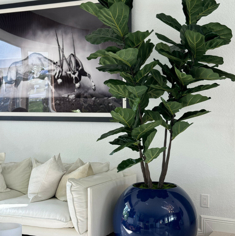 azul esférico jarrón, 76 cm, con violín hoja higuera árbol