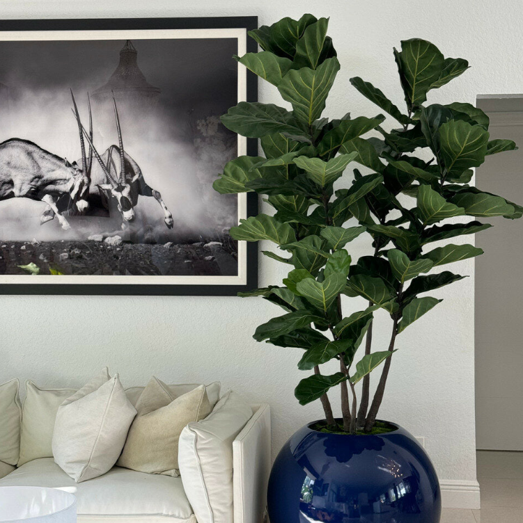 azul esférico jarrón, 76 cm, con violín hoja higuera árbol