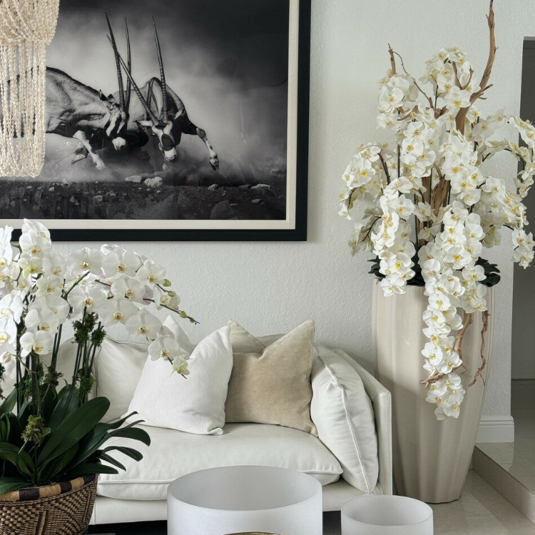 arena beige san josé jarrón con cascada blanco orquídeas