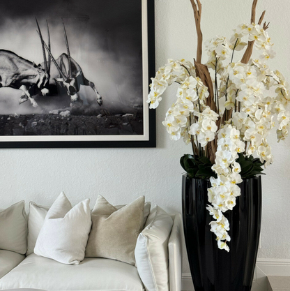 brillante negro san josé jarrón con cascada blanco orquídeas