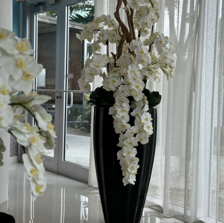 brillante negro san josé jarrón con cascada blanco orquídeas