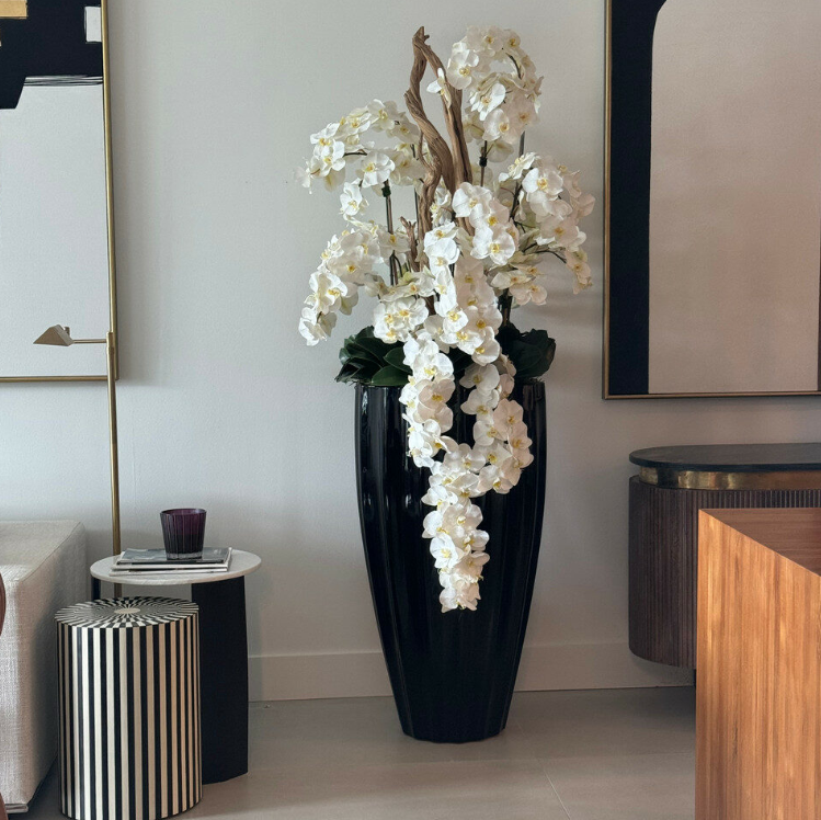 brillante negro san josé jarrón con cascada blanco orquídeas